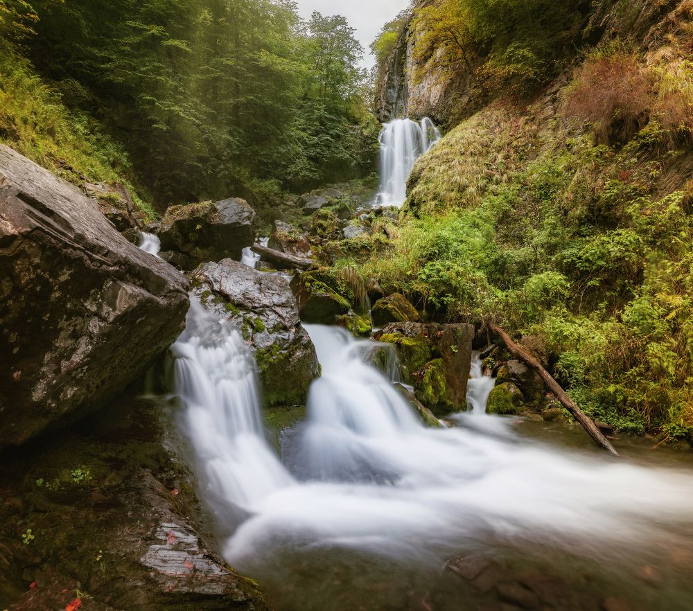 Photograph by Соколова Елена