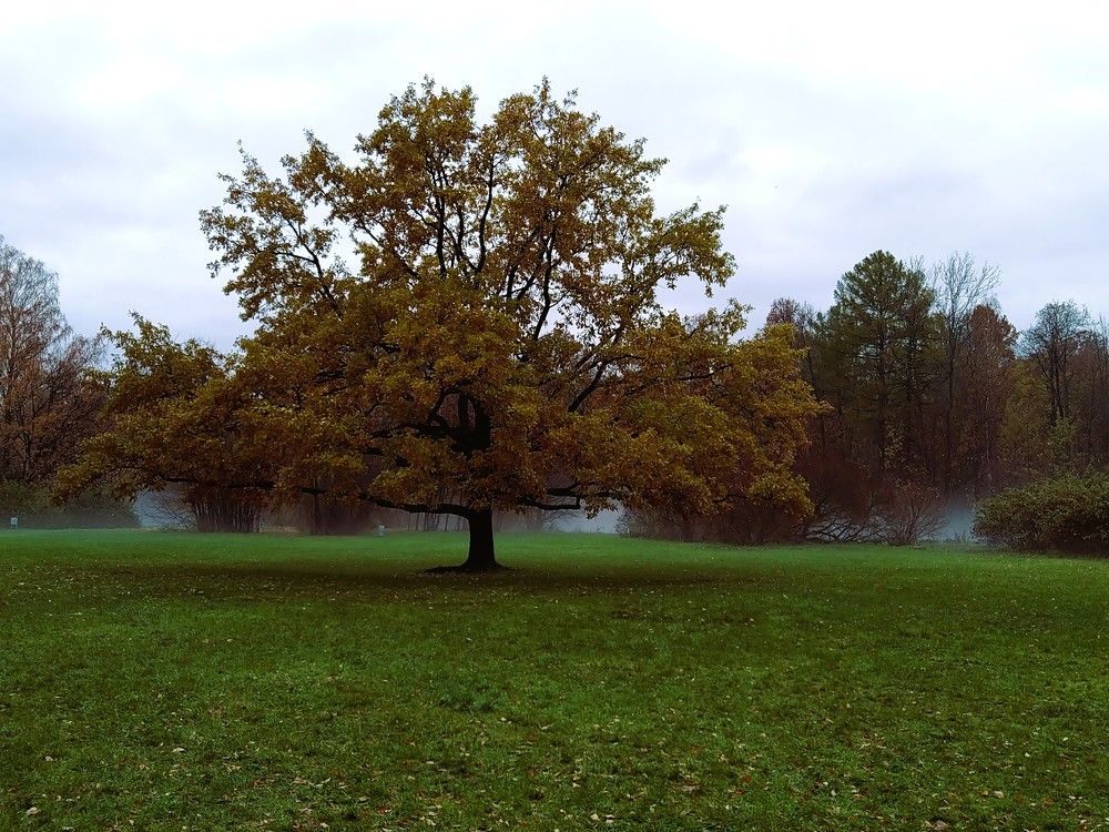 Photo #10383421