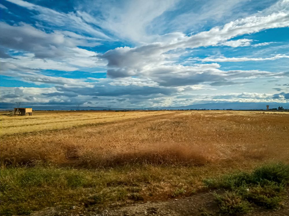 Photograph by Sara Bounab