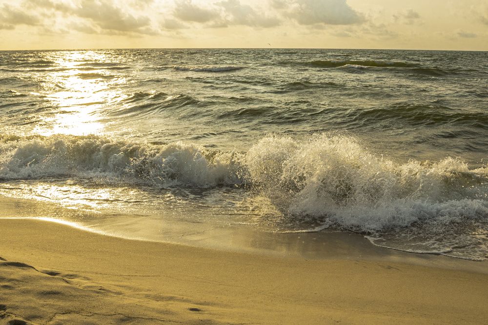 Photograph by Васенин Павел