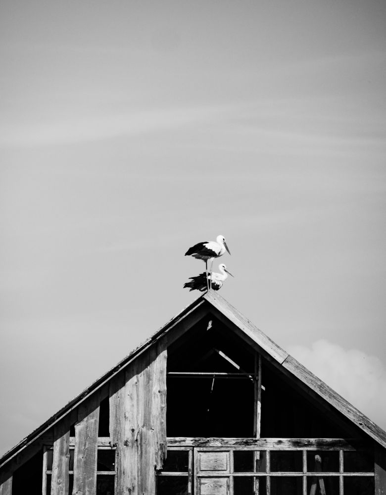 Photograph by Mindaugas Dinda