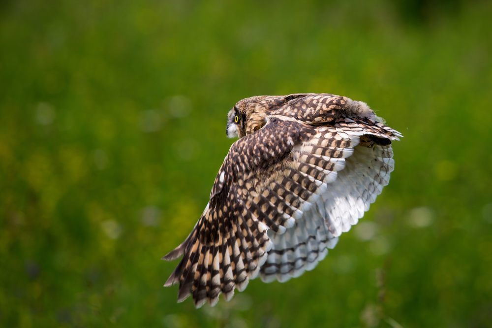 Photograph by Поляков Алексей