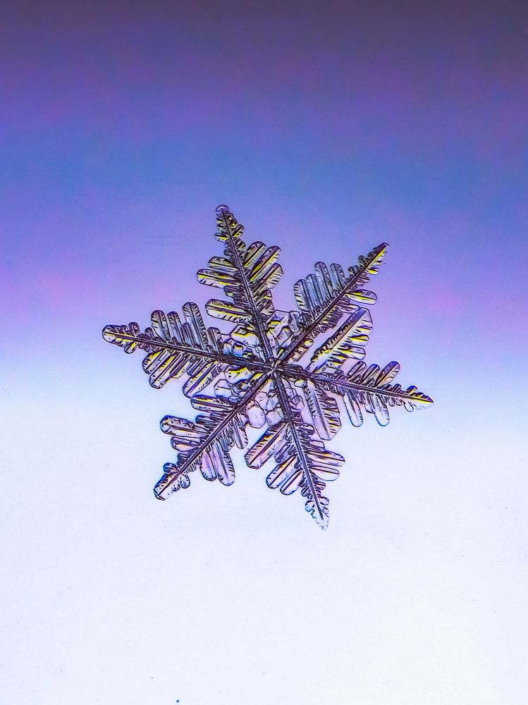 Photograph by Silja Grünberg