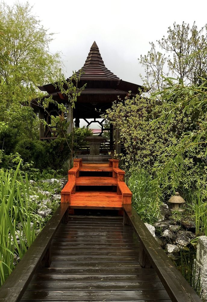 Фотография автора Елена Меньшикова