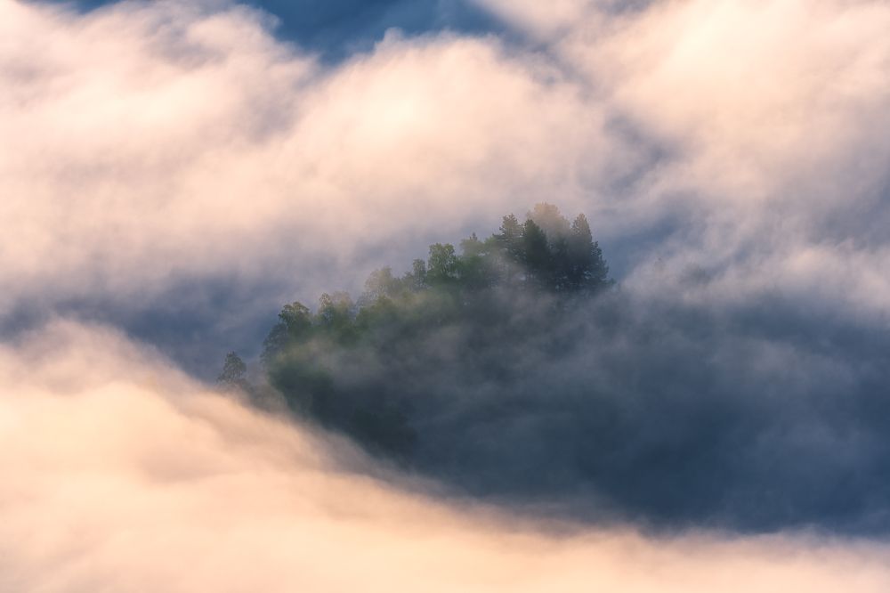 Photograph by Левыкин Виталий