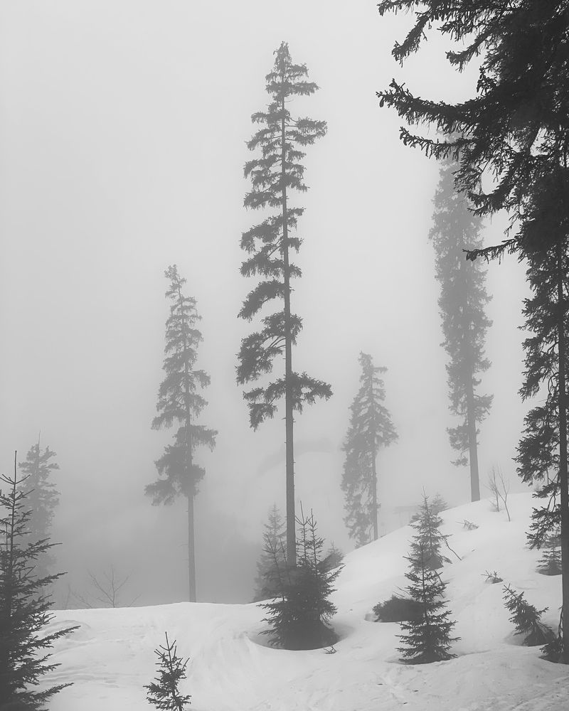 Photograph by Наталья Посашко