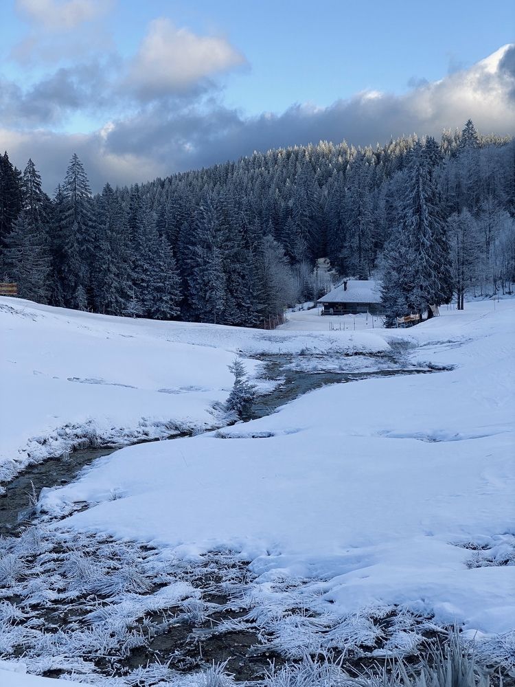 Photograph by Наталья Посашко