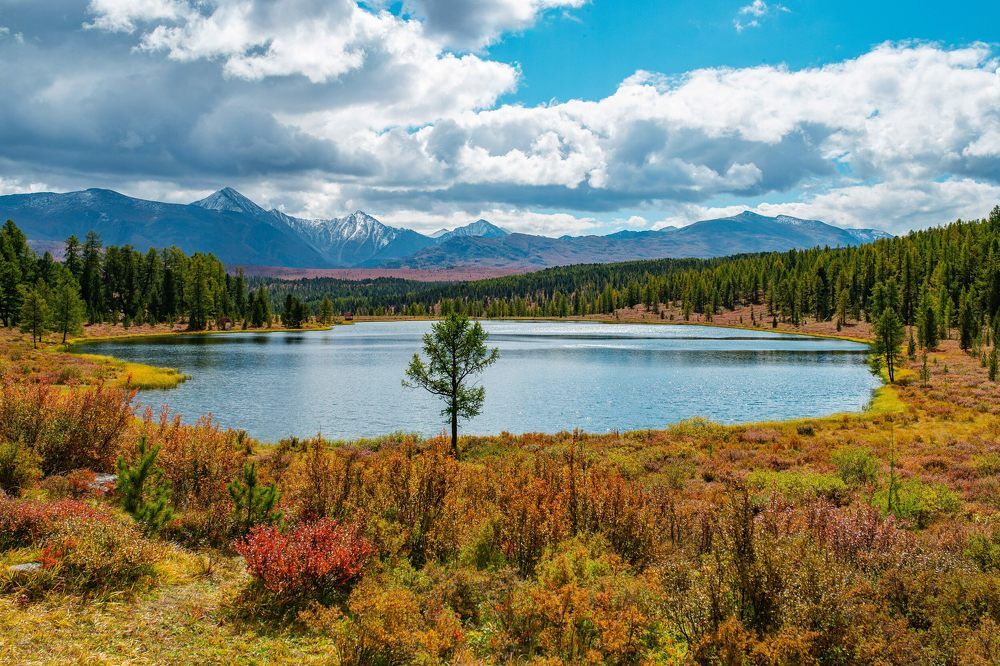 Photograph by Поляков Алексей