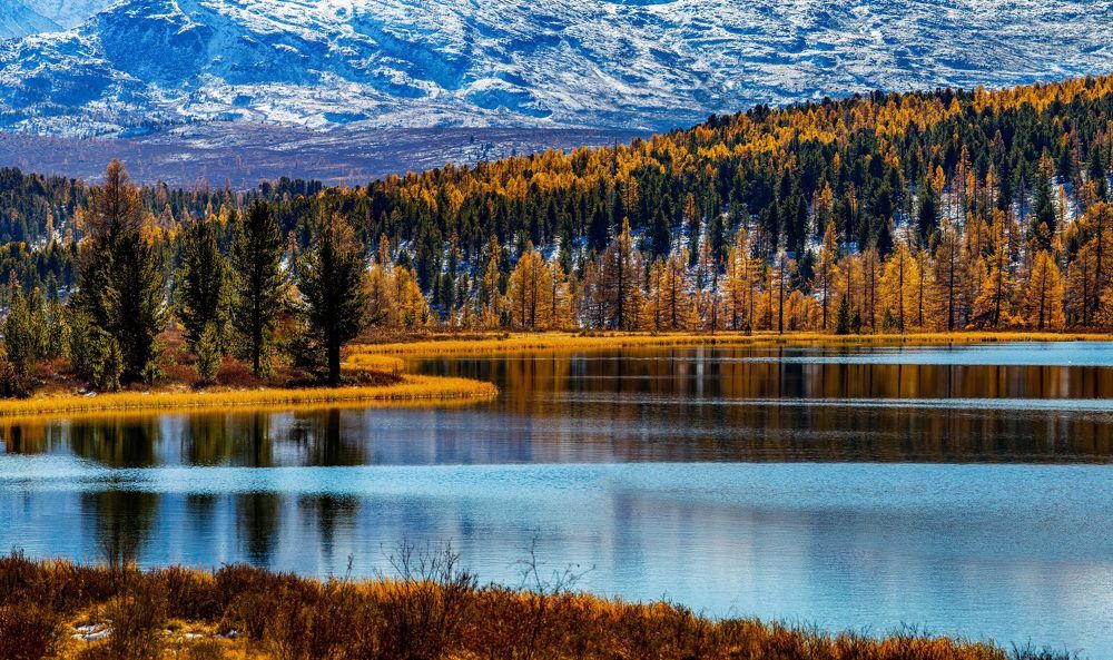 Photograph by Поляков Алексей