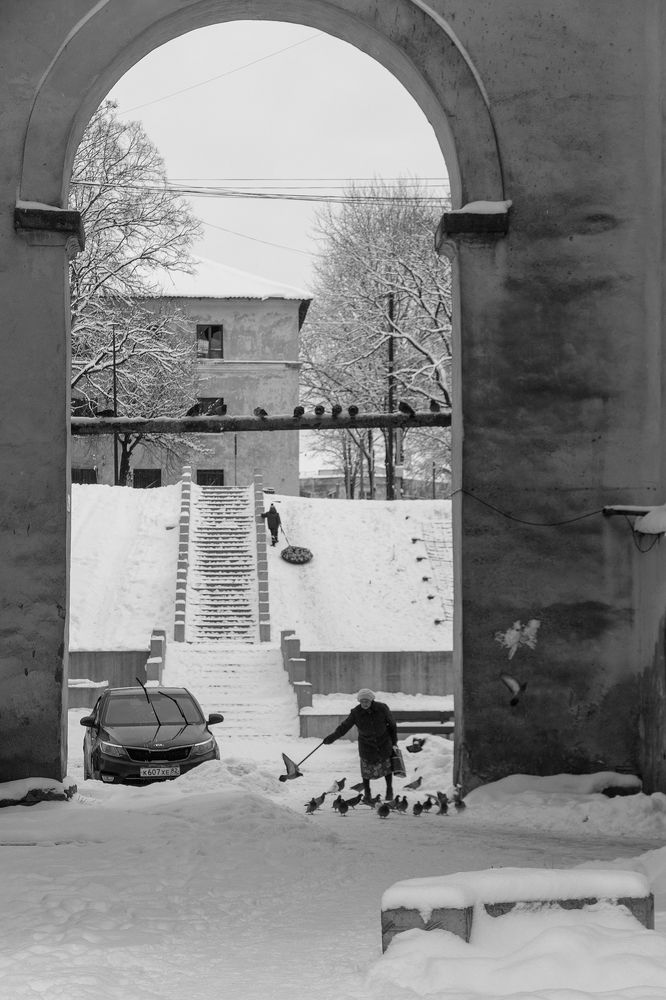 Photograph by Светлана Воробьёва