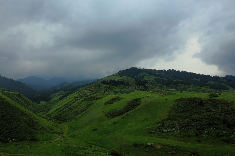 Photograph by Ирина Кан