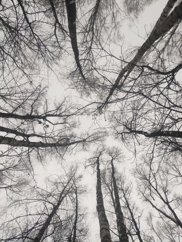 Photograph by Елена Климачева