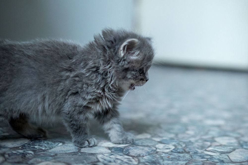 Photograph by Татьяна Дубовицкая