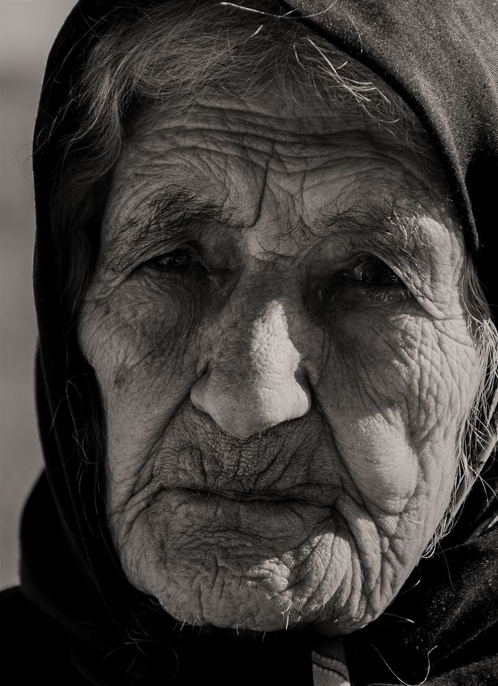 Фотография автора shima mokhtari