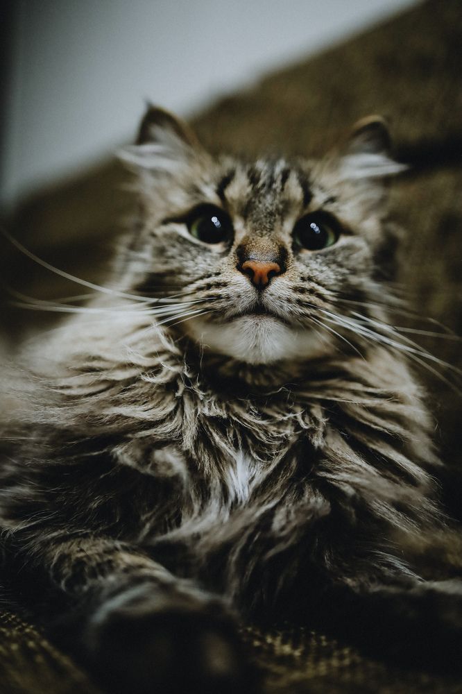 Photograph by Anastasia Savvina