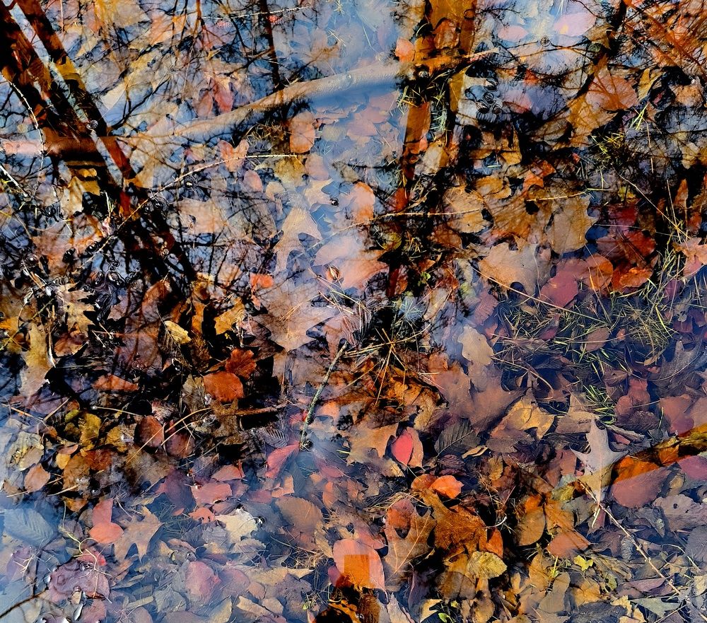 Photograph by Arkadij Frejdlin