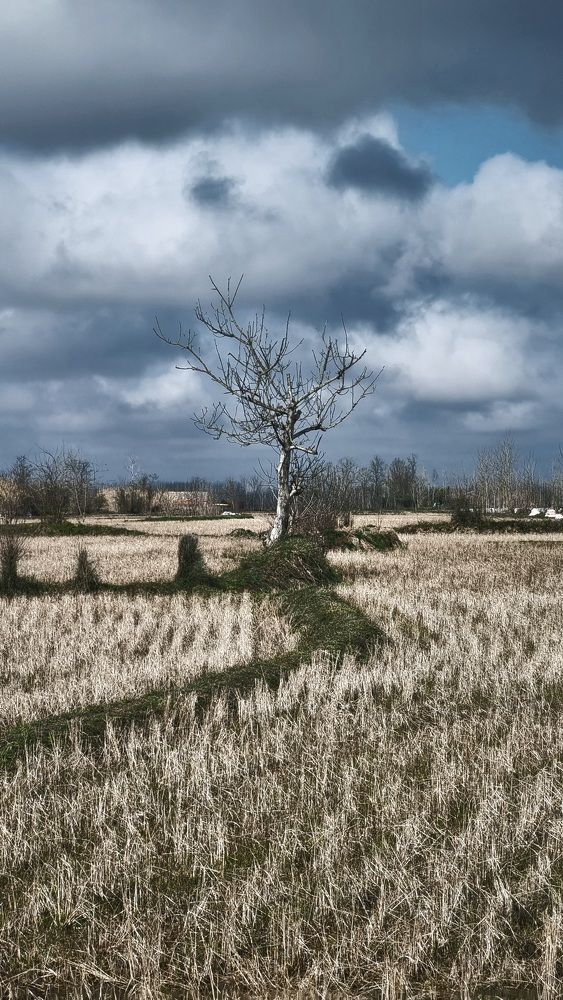 Photograph by amir mohammad manzouri