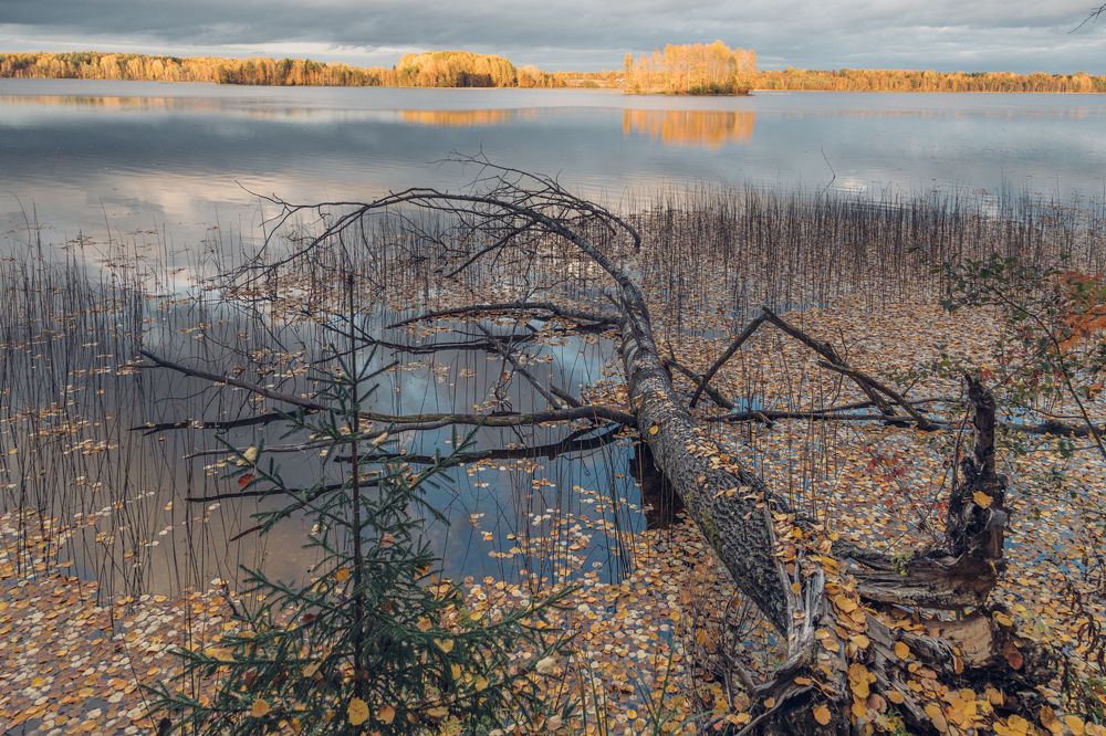 Photograph by Денис