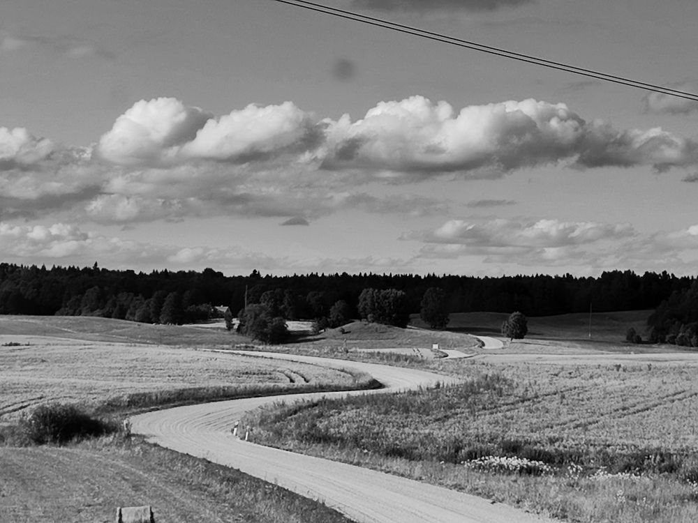 Photo #10383771