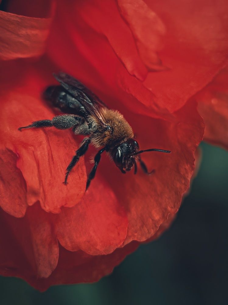 Photograph by Лора