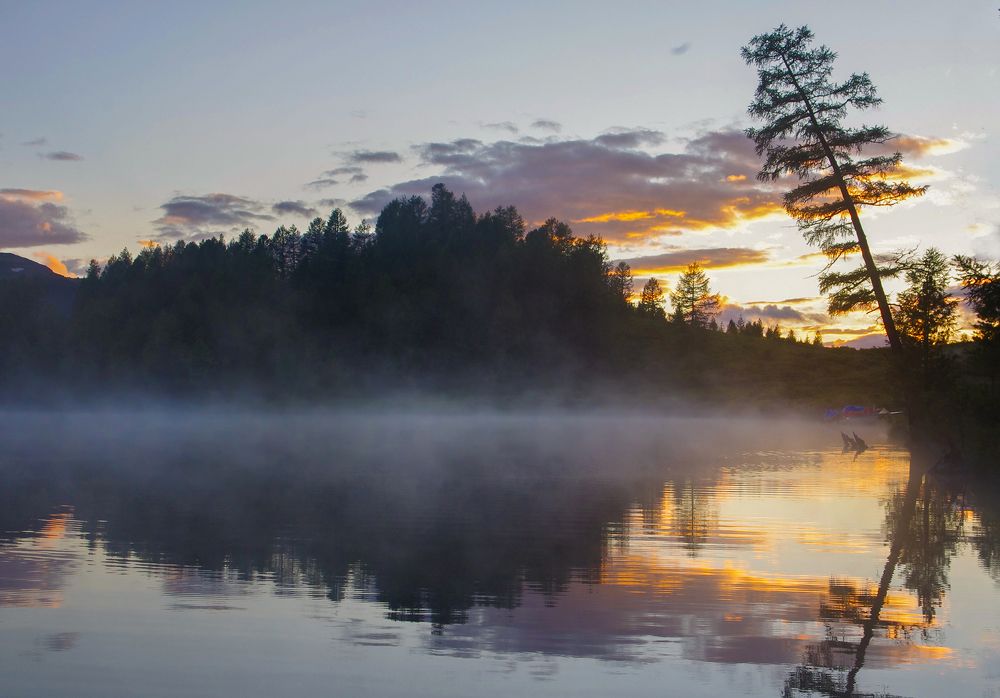 Photograph by Чичкин Валерий