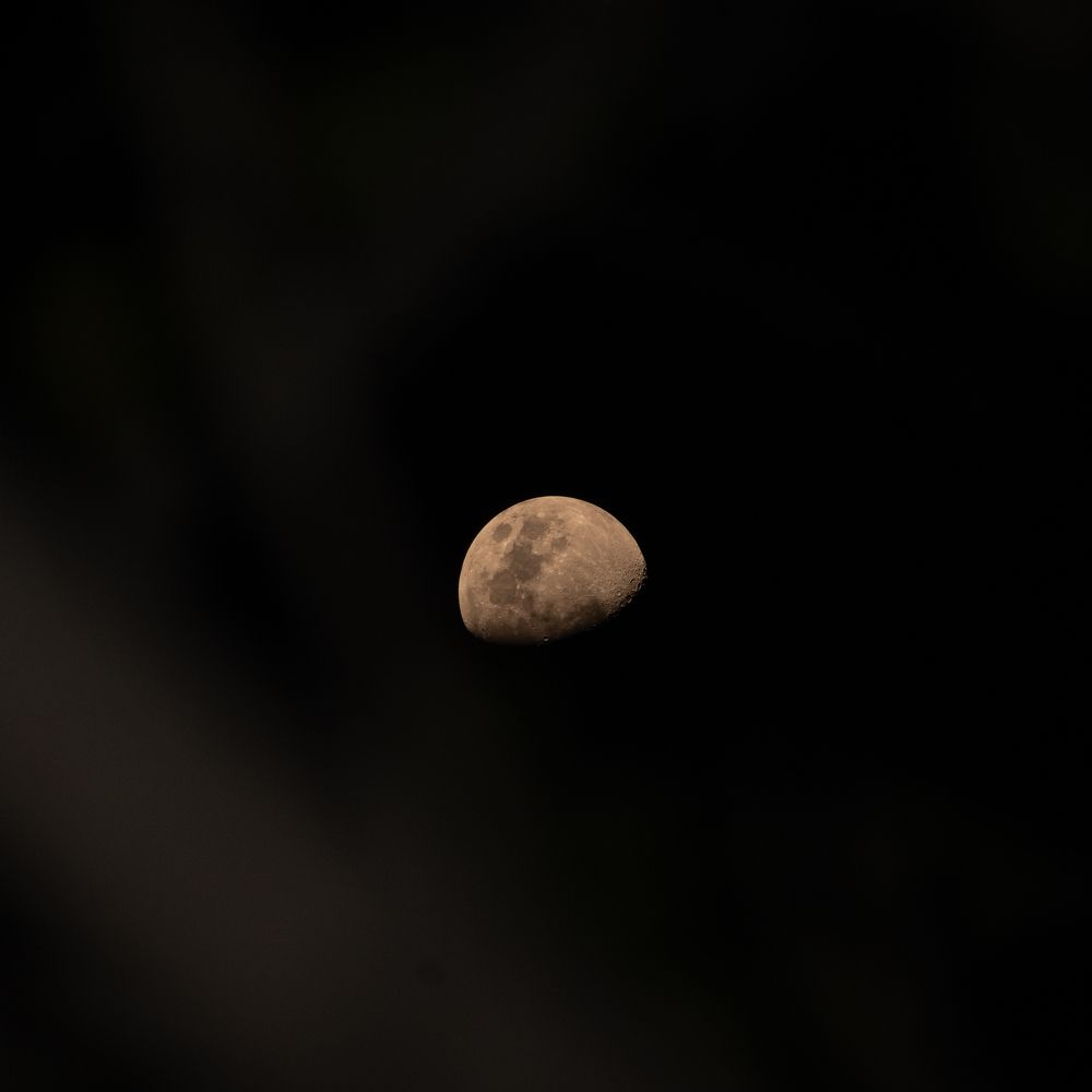 Photograph by Nomesh Patel