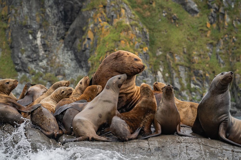 Photograph by Межин Сергей