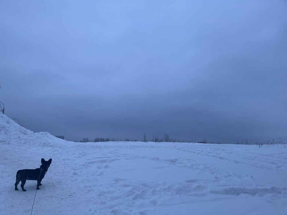 Photograph by Юлия Серова