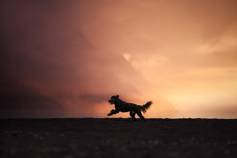 Photograph by karin bruhin