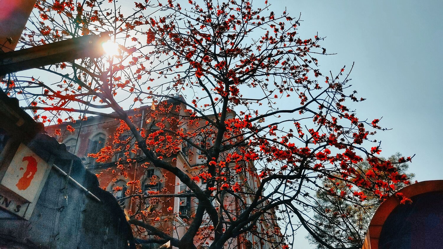 Spring Morning.