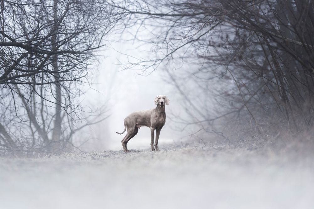 Photograph by karin bruhin