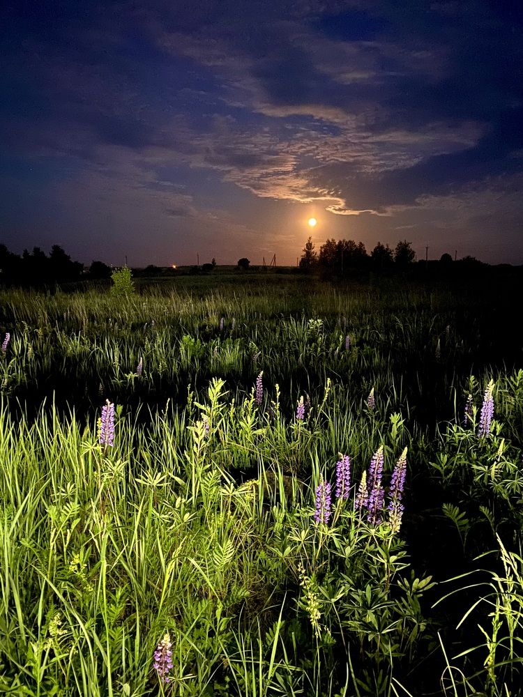 Photograph by Яна Деньгина