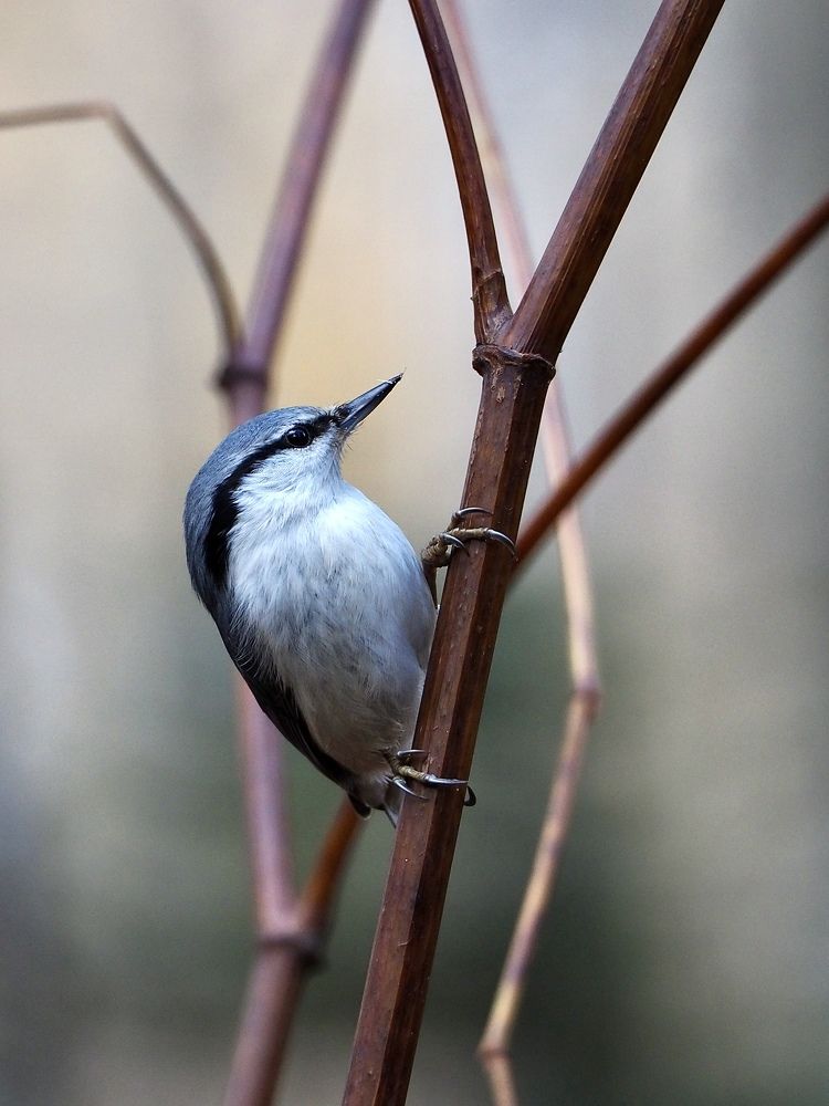 Photograph by Юлия Поршнева