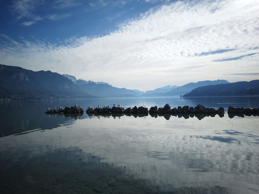 Фотография автора Clarise Joy Evangelista