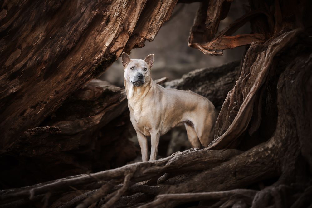 Photograph by karin bruhin