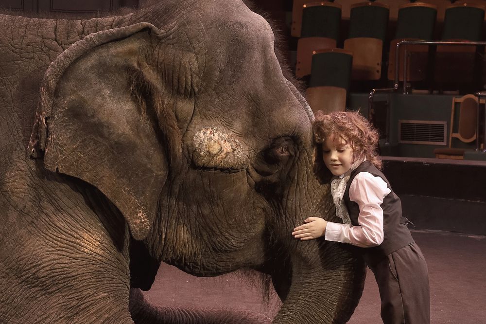 Photograph by Дарья Патук