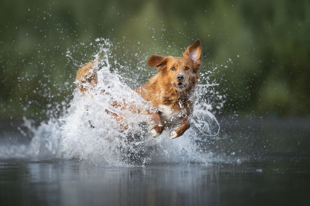 Photograph by karin bruhin