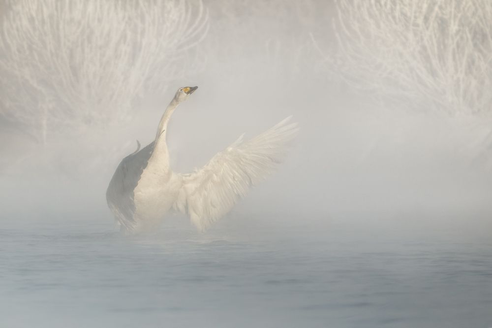 Фотография автора Рудченко Ольга