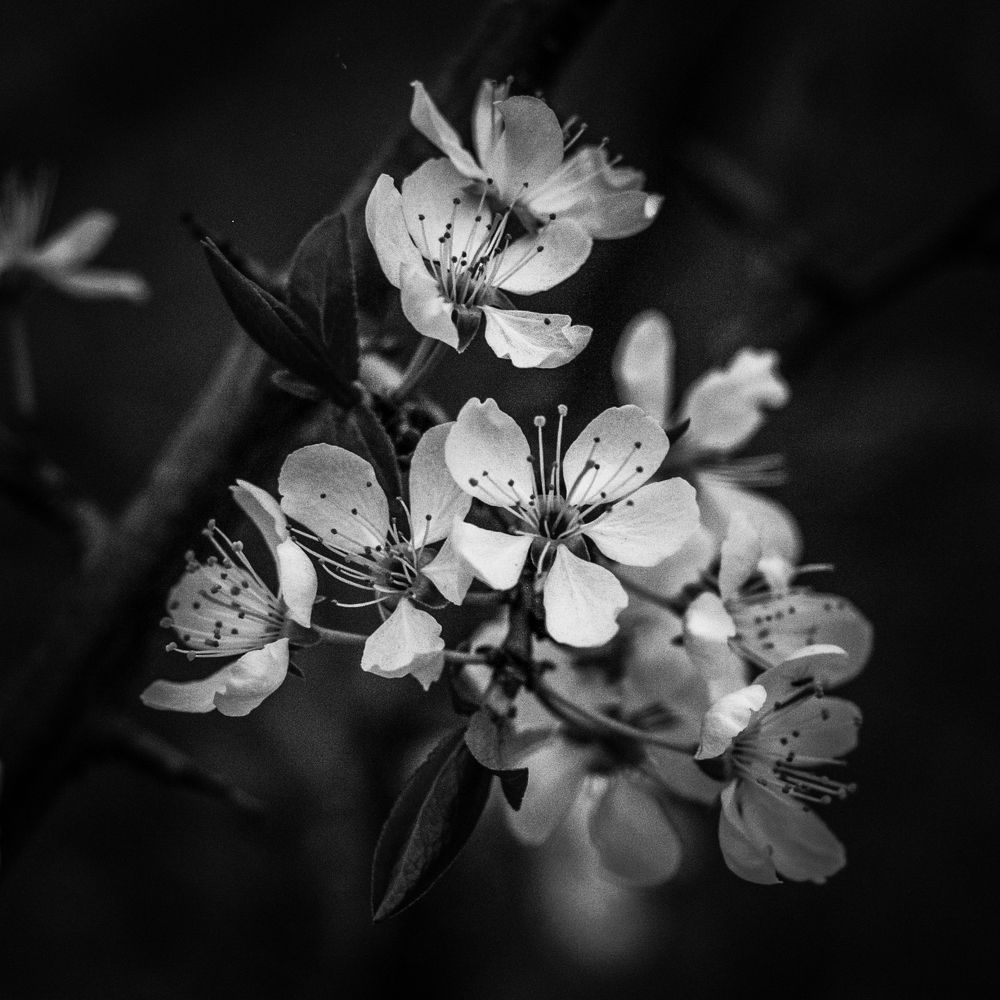 Photograph by Мария Корнилова