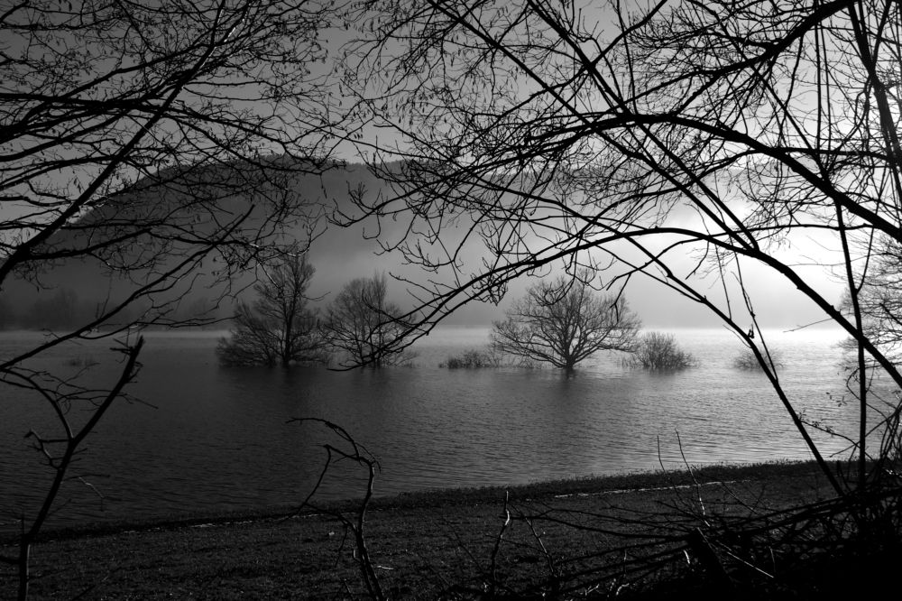 Photograph by Lojze Burja