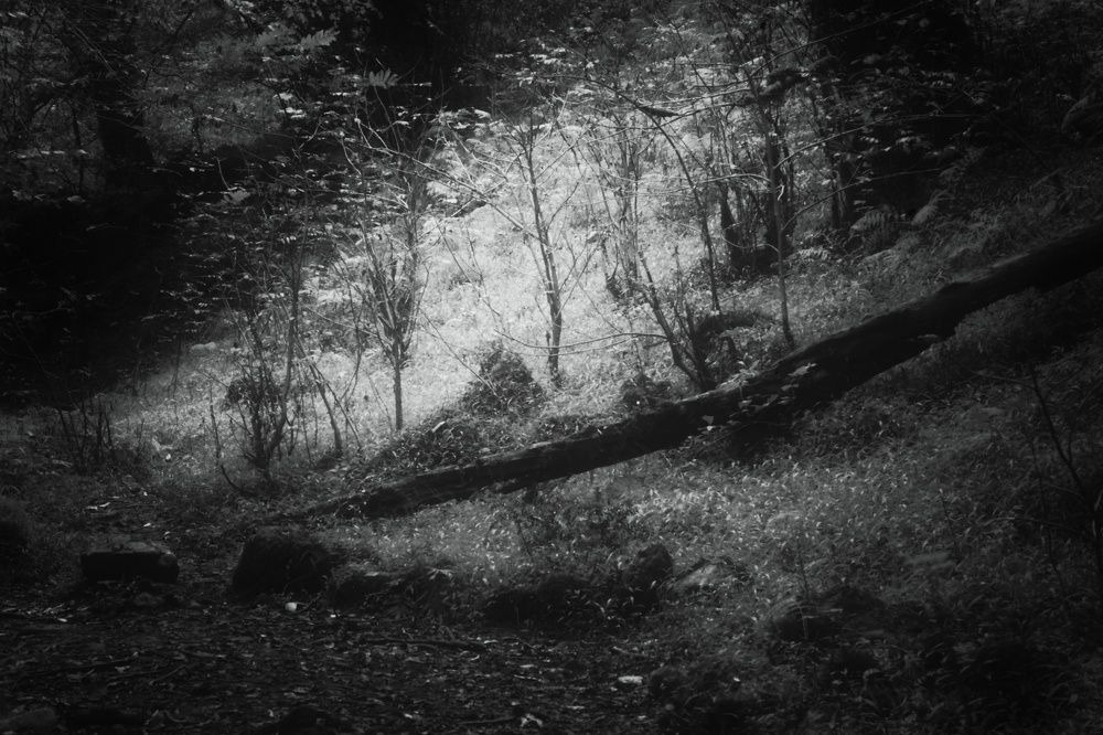 Photograph by Negin Khorsandi