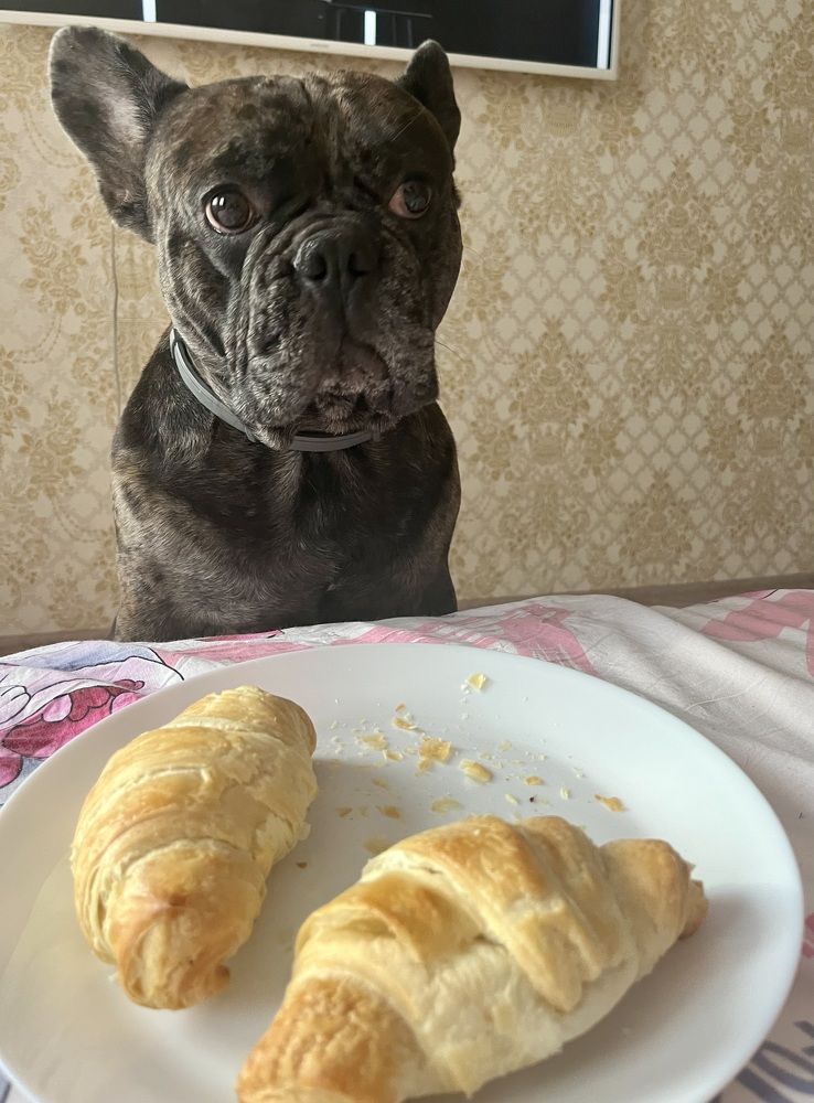 Photograph by Юлия Серова