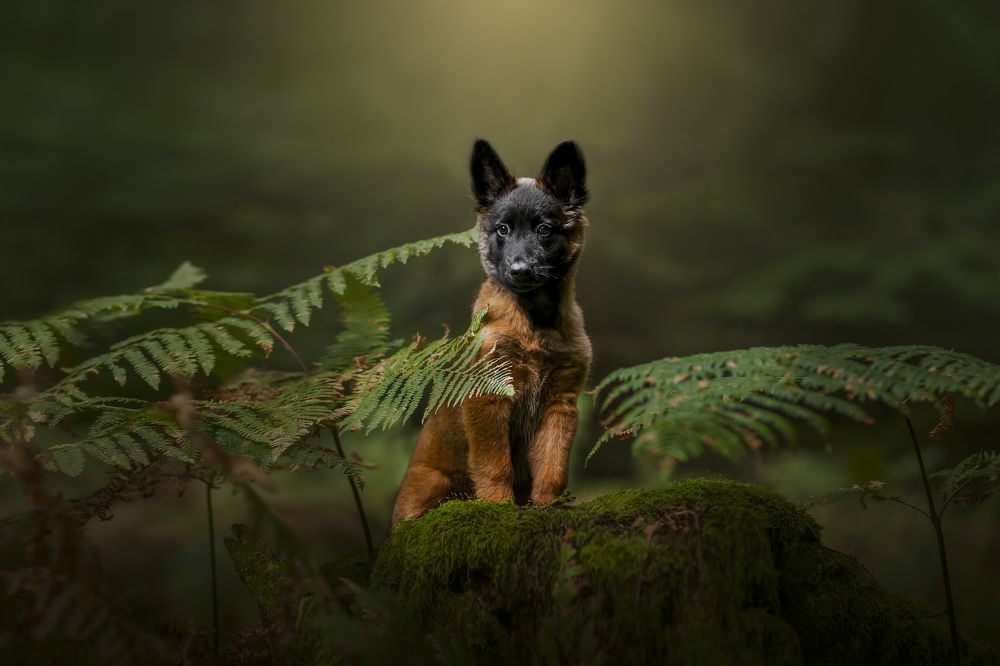 Photograph by karin bruhin