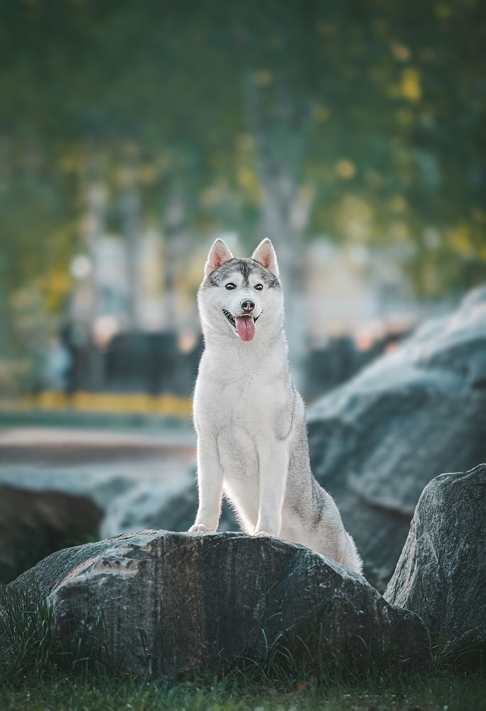 Photograph by София Зайцева