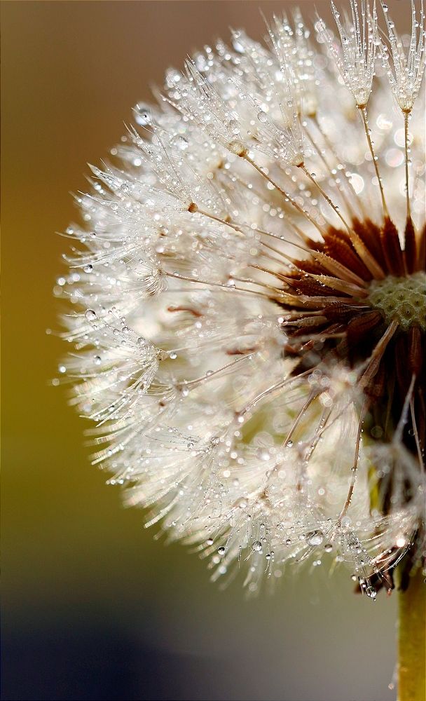 Photograph by kamran shirani