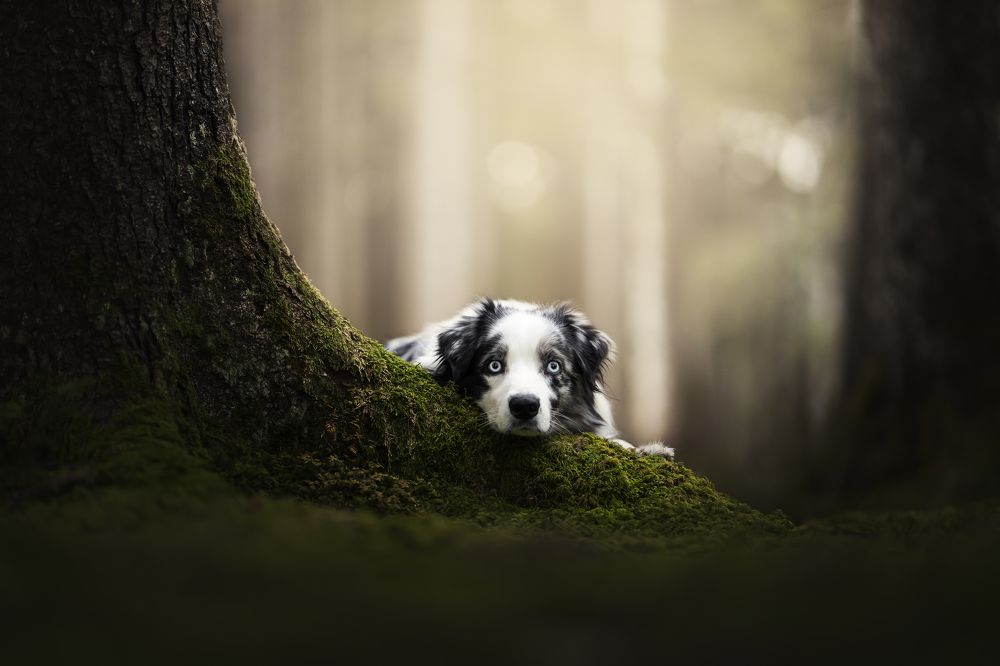 Photograph by karin bruhin