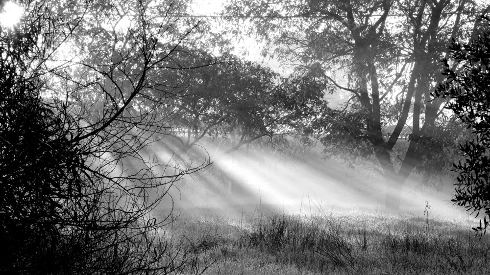 Фотография автора Dmitry