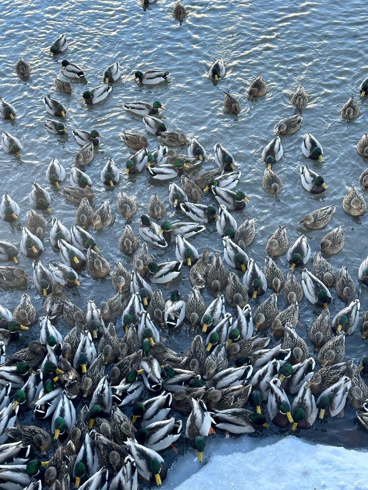 Photograph by Наталья Сережко