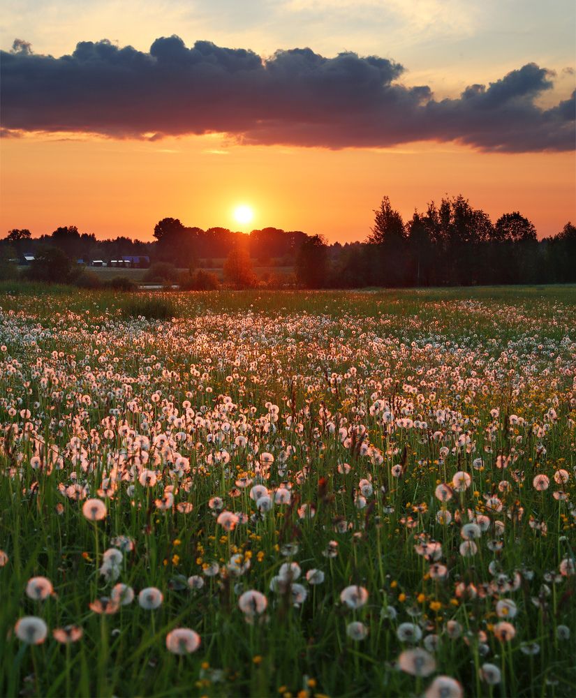 Photograph by Олег Фокин