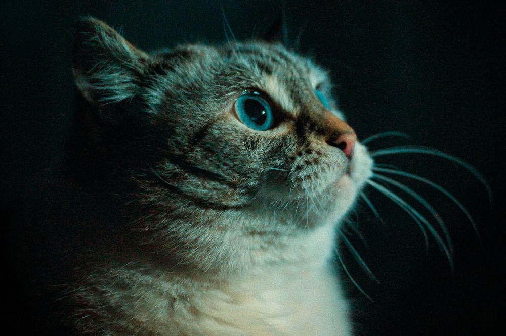 Photograph by Любовь Иванова